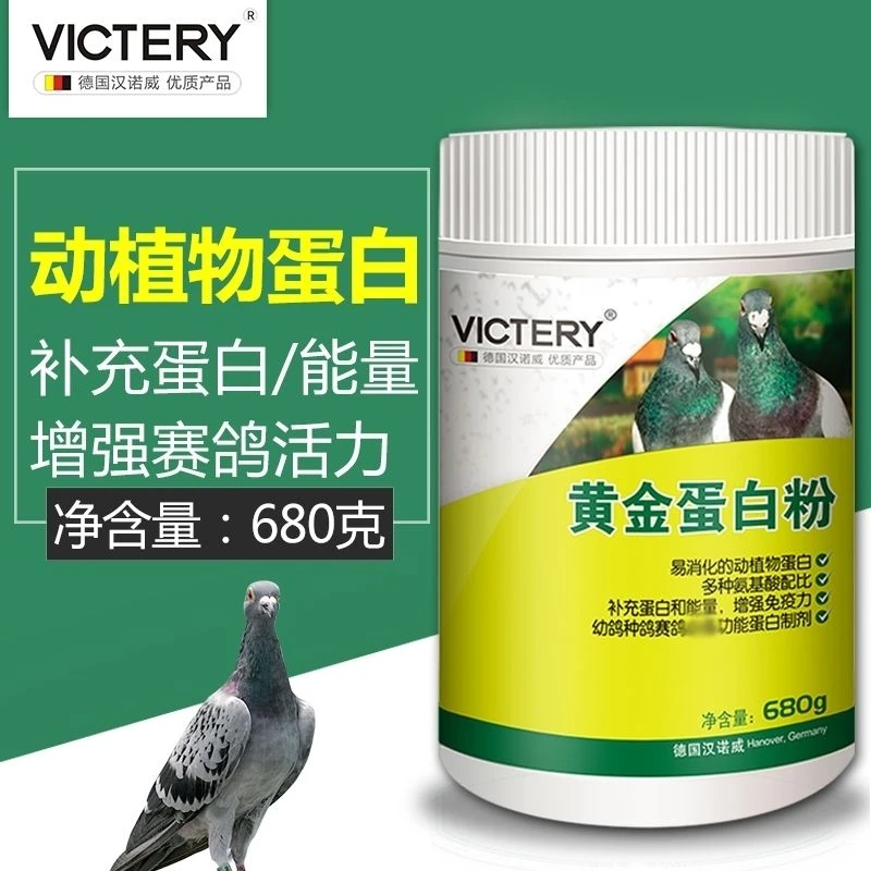 汉诺威黄金蛋白粉 680g 赛鸽信鸽鸽子用品