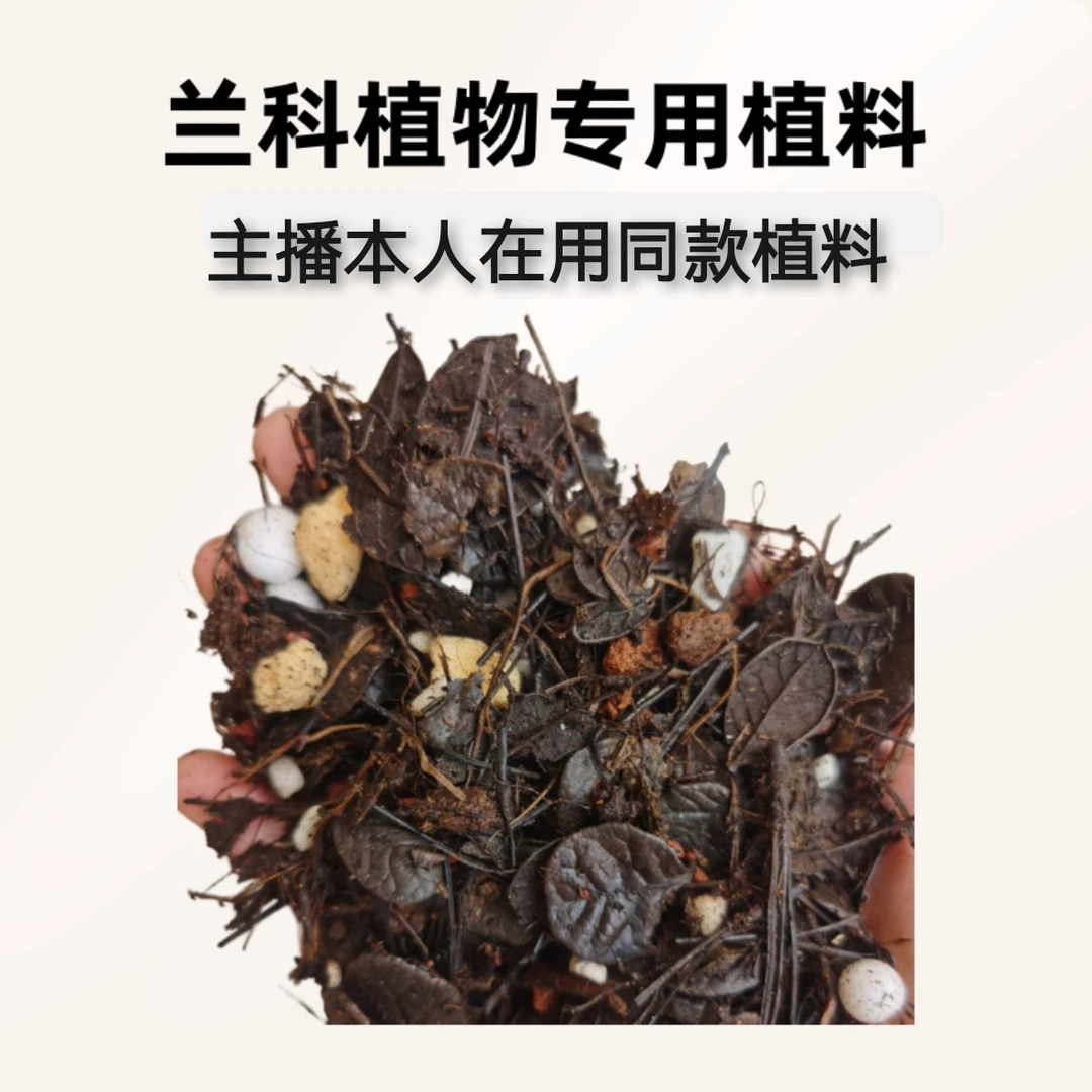 高原名兰兰科专用植料兰花土刺栗叶腐殖土20升