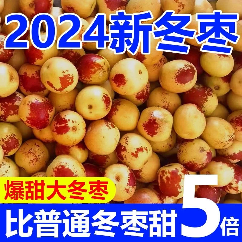 【果园直发】陕西大荔脆甜冬枣时令清凉水果孕妇必备新鲜香甜大冬枣