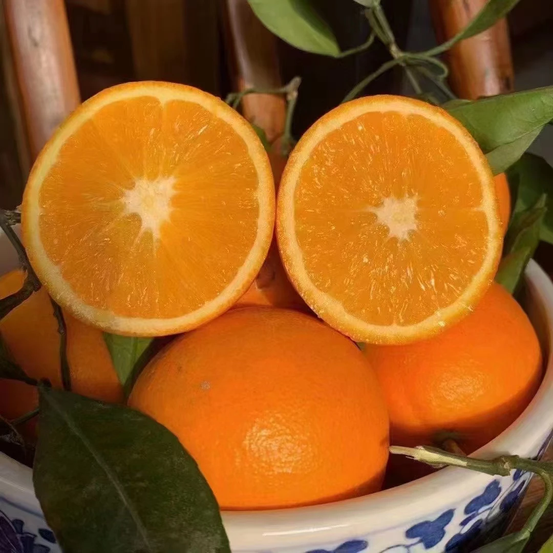 现摘奉节纽荷尔橙果园现摘现发新鲜天然脆嫩爆汁橙 5/10/20斤包邮