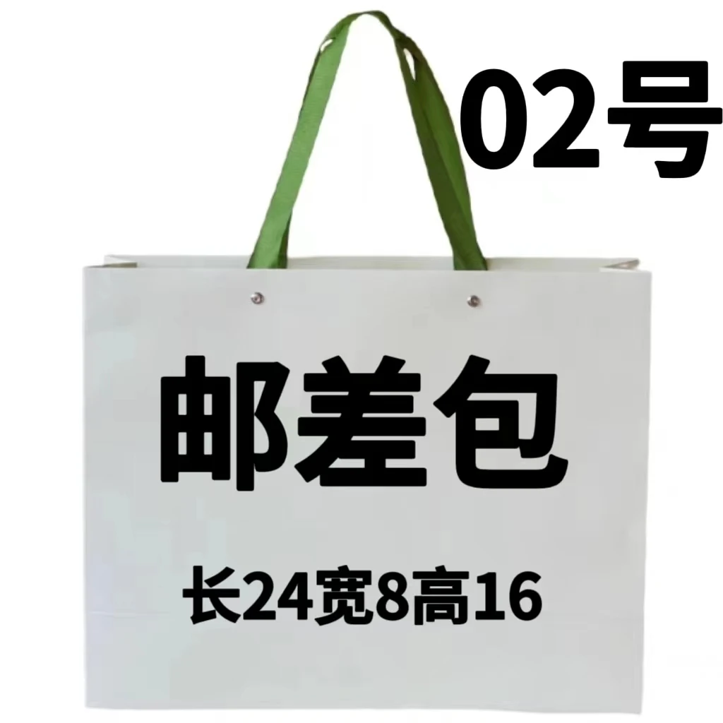 G 02号包  时尚 高级感小众斜挎邮差包 6520#3