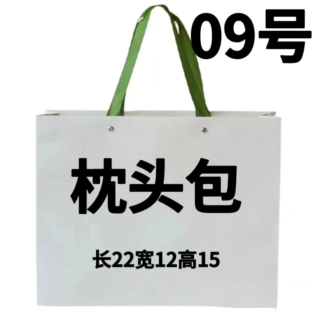 F 09包 超火2023新款流行枕头包 手提单肩斜挎 6507-1#