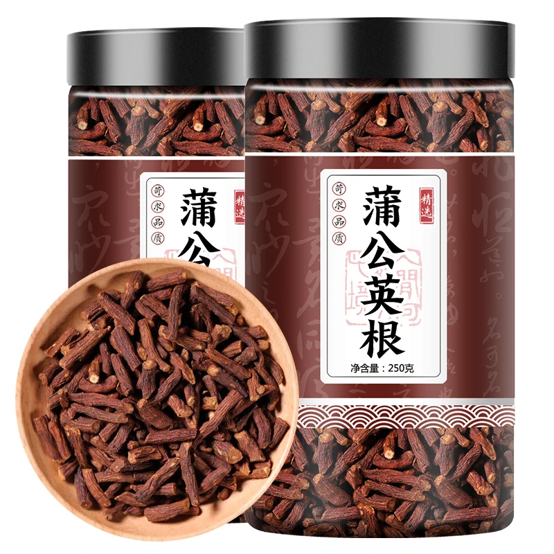 长白山野生蒲公英根茶官方干货原料农产品中药材健康养生花高山