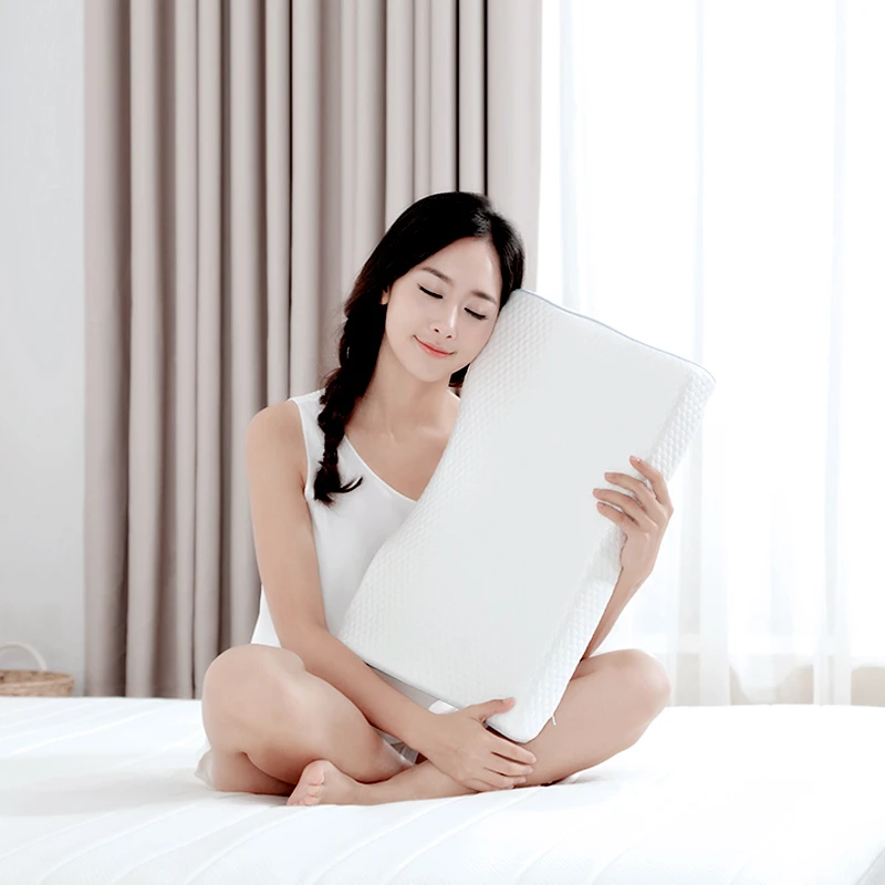 8HSLEEP【蝶形】记忆棉枕头成人护颈保健枕慢回弹透气枕芯 H2单人