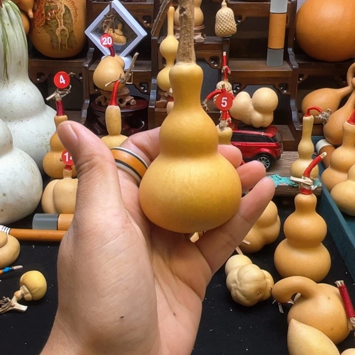 用****3大自然的秘密第十一节你的生命里的秘密