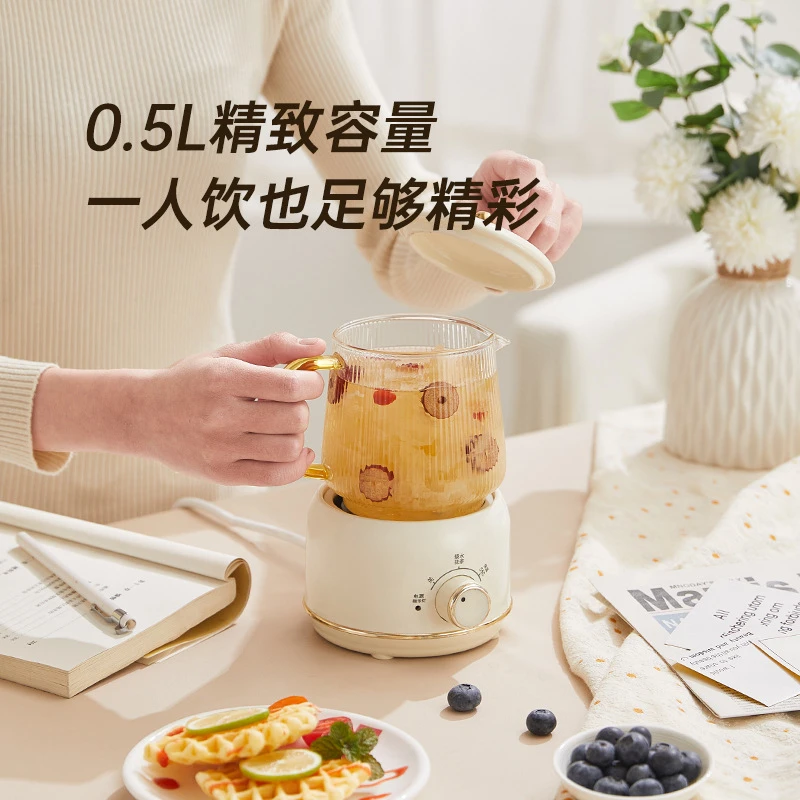 多功能养生壶家用办公室迷你小型花茶壶mini烧水壶煮茶全自动便携