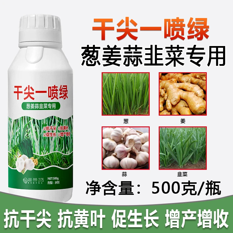 干尖黄叶一喷绿含中量元素水溶肥葱姜蒜韭专用厂家直销