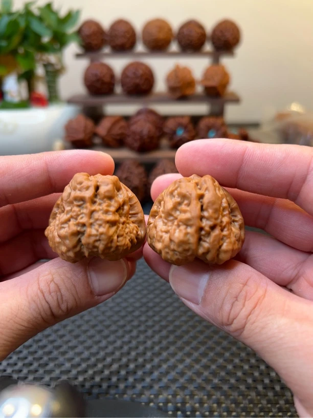 文玩核桃延庆蛤蟆头36尺寸