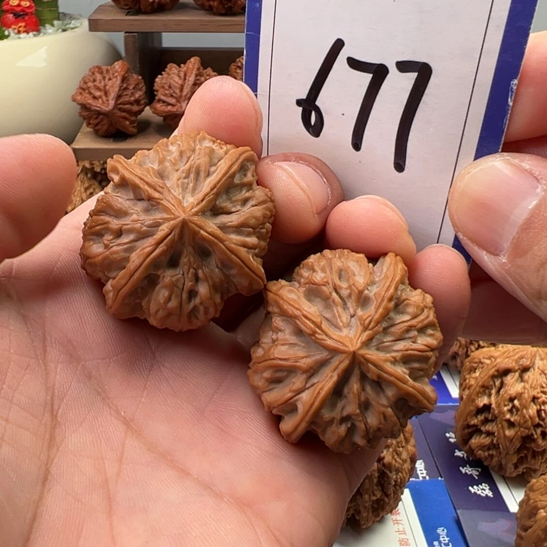 文玩核桃把件全品野生四棱37尺寸677号