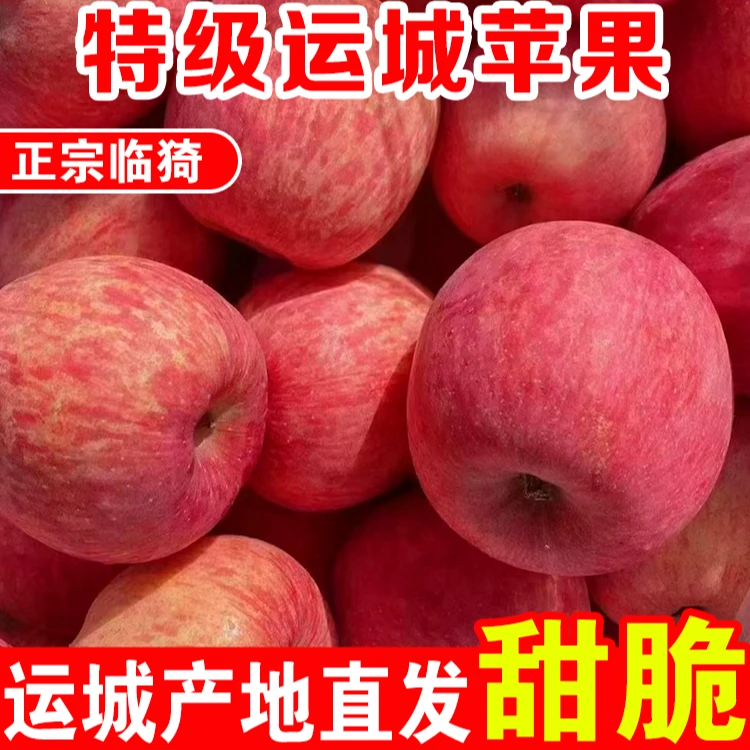 【精选红富士】山西运城冰糖心红富士苹果新鲜水果脆甜多汁整箱