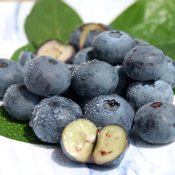 【盒装】秘鲁进口蓝莓1盒125g（果径：15-18mm）秘鲁蓝莓秘鲁共和国秘鲁秘鲁