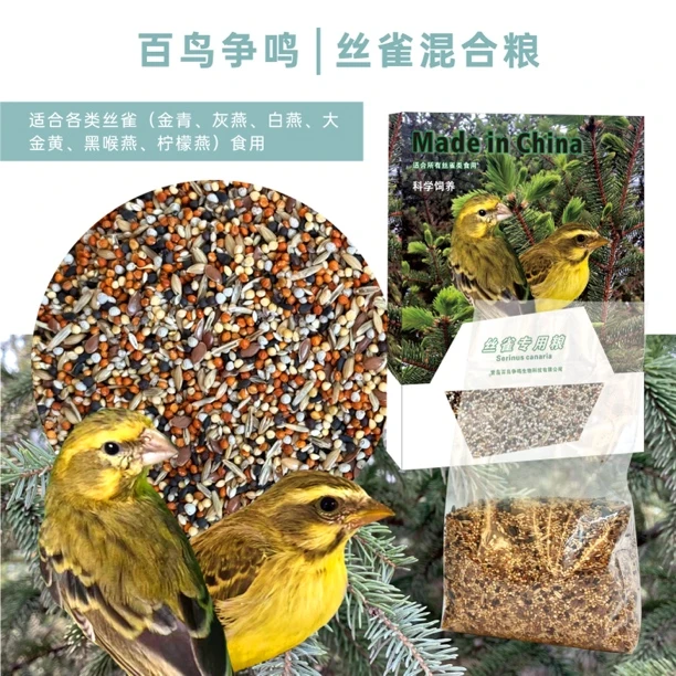 原欧丝雀金青大金黄黑喉白燕原生混合粮