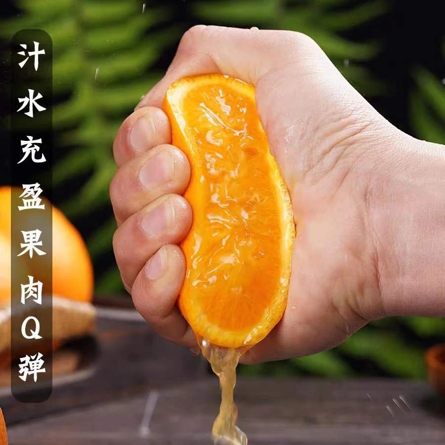 宠粉福利水灌冰糖橙福利装