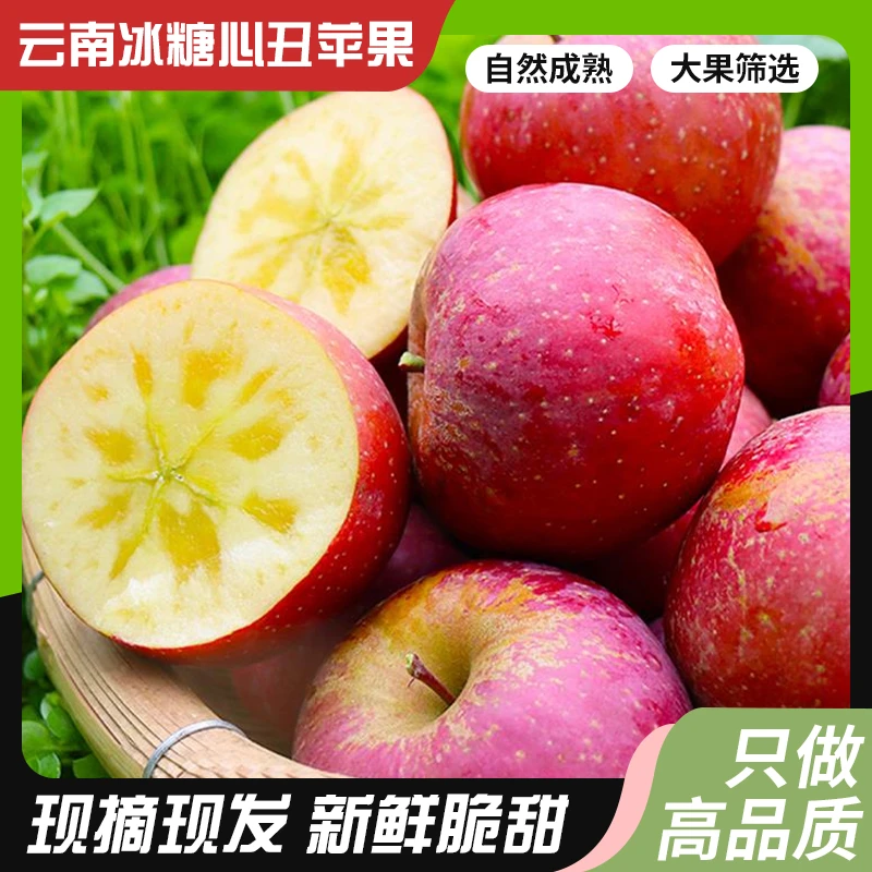 云南丑苹果脆甜多汁现货产地直发洱源高原苹果【10斤常规礼盒装】