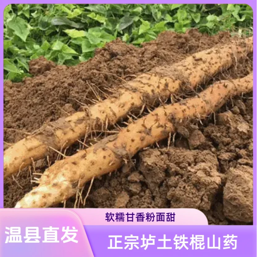 【正宗】铁棍山药怀山药滋补原产地温县垆土地新鲜山药3斤-5斤净重
