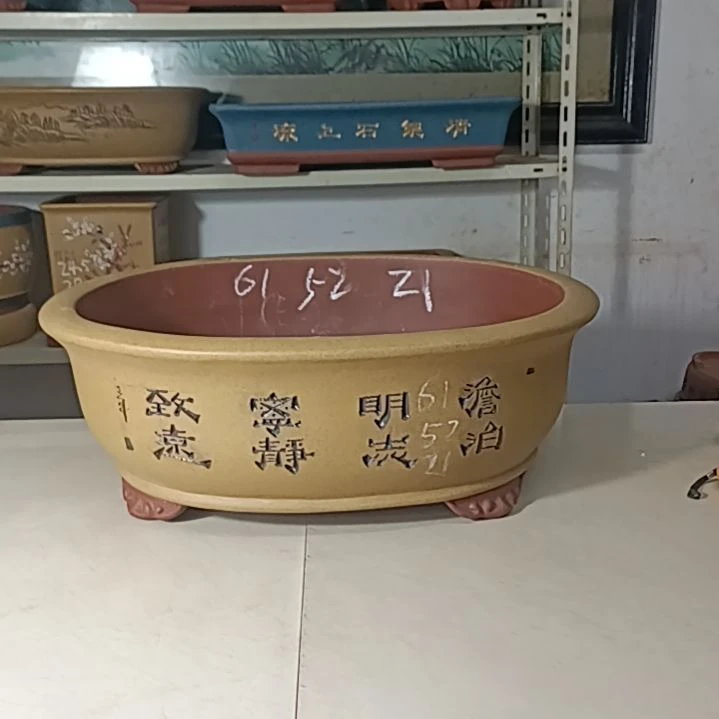 紫砂花盆腰圆盆景盆