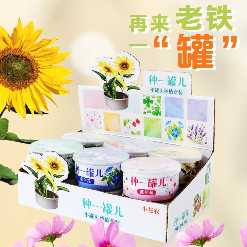 小花农种一罐儿美丽种植盆栽儿童益智玩具男孩女孩创意伴手礼物