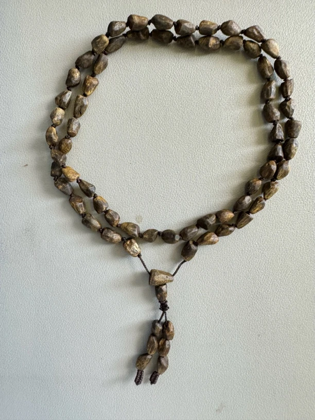 T15奇楠沉香沉水树丁包壳多圈18克多样性发1