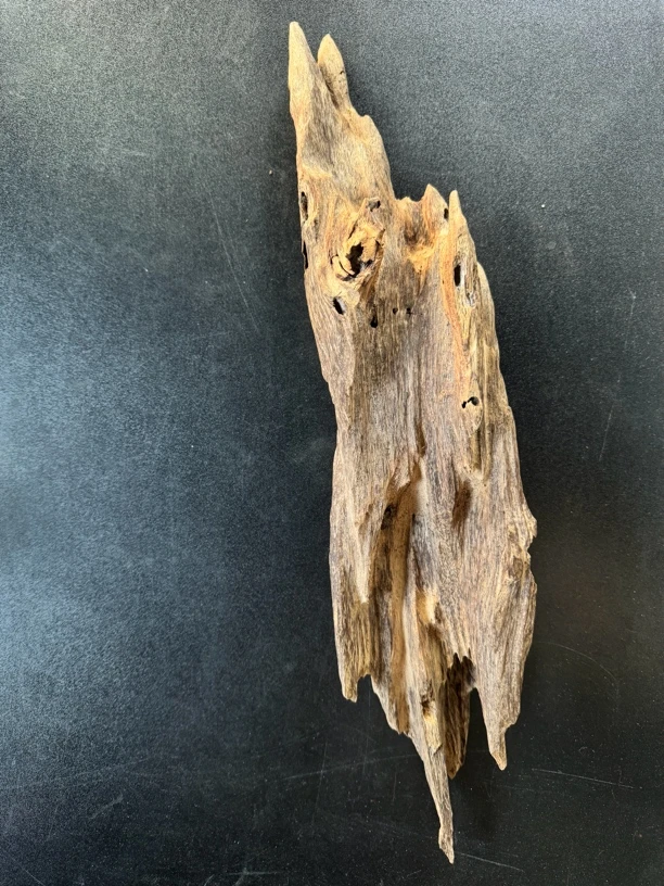 港香沉香虫漏原材料摆件多样性发一