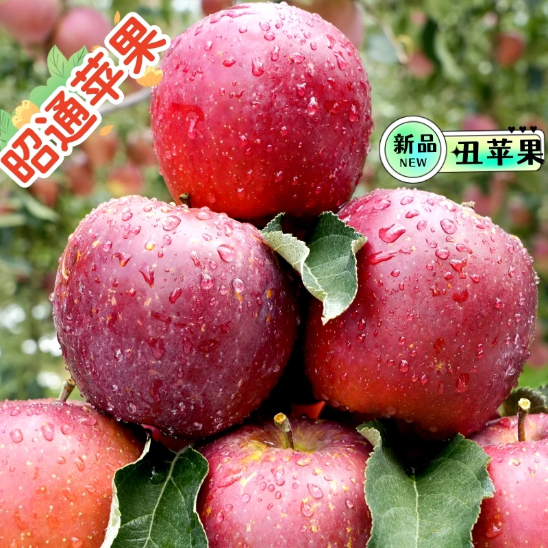 云南昭通糖心丑苹果冰糖心苹果农户直发现摘现发5/10斤装脆甜新鲜