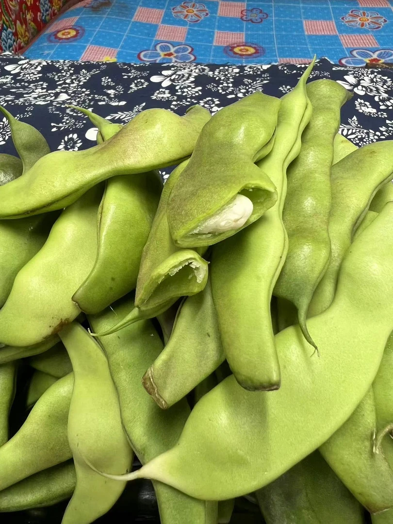 东北小园油豆角、大马掌豆角  农家现摘无筋不柴 3斤包邮