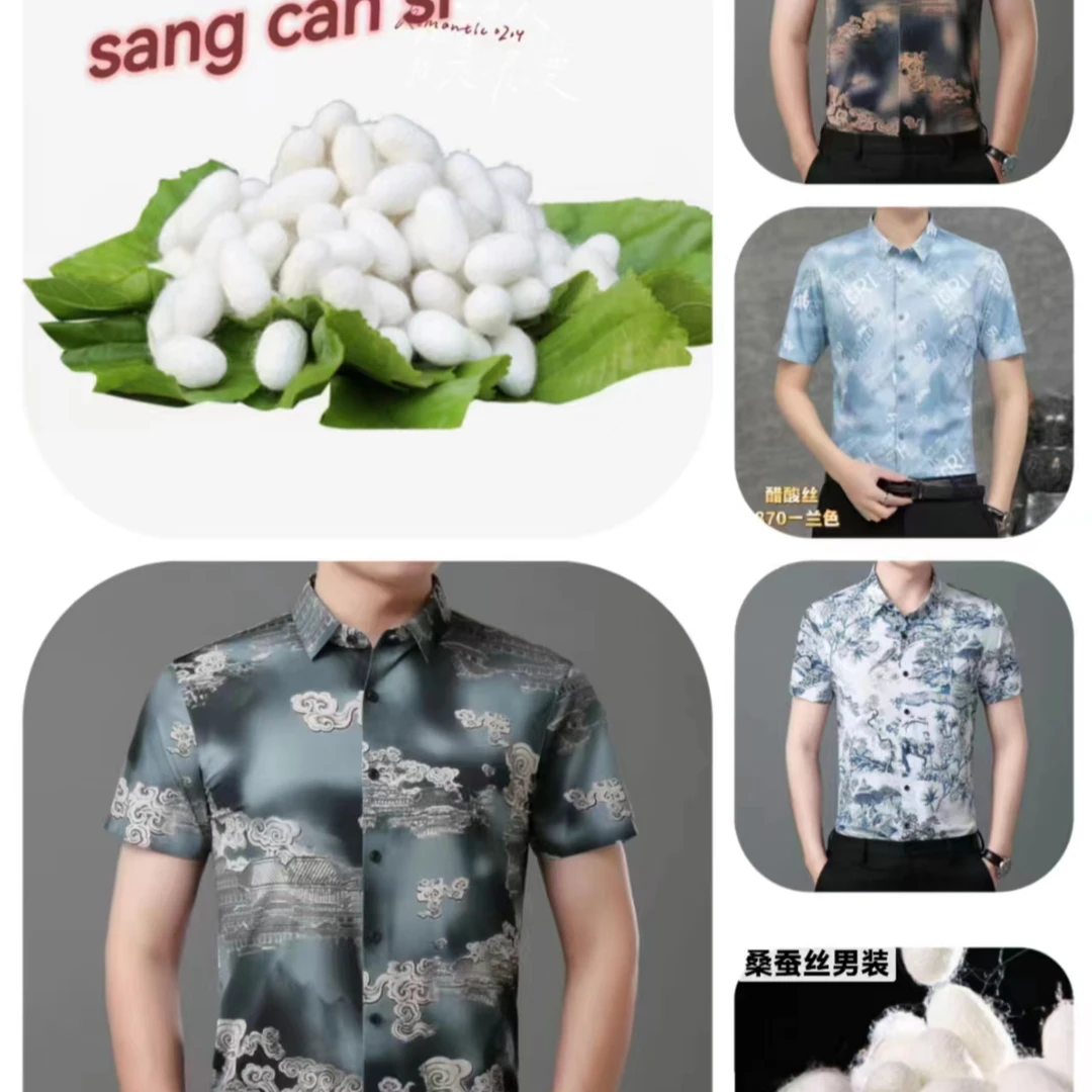 新款男士休闲春秋T恤B5