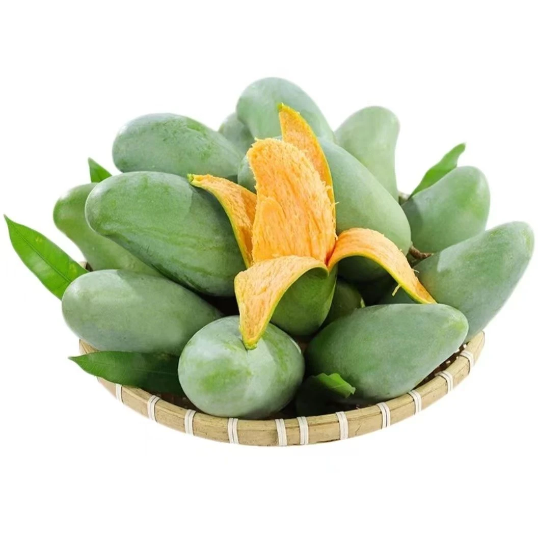 新鲜农产品水果广西百色田东桂七芒果香甜软糯非大青芒5斤9斤包邮