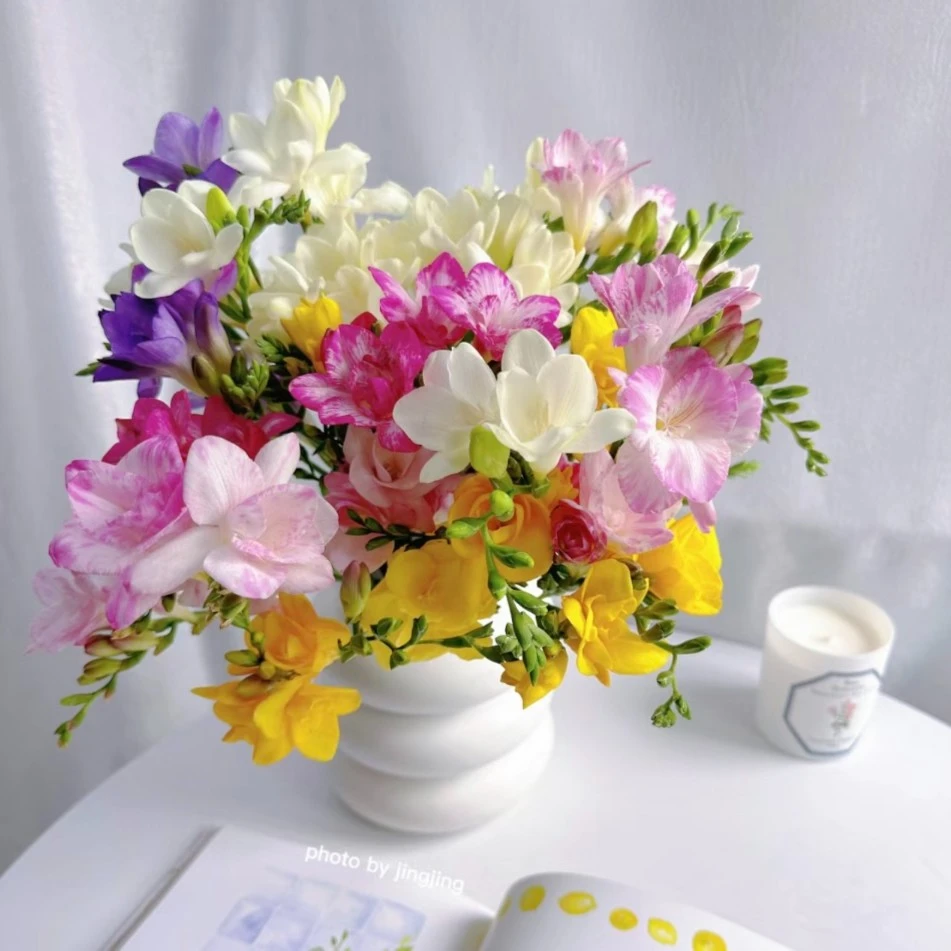 【小花盒】草花链接 【2单包邮，如只拍1单，需补运费差价】