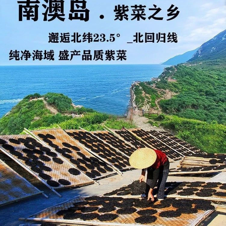 南澳头水紫菜无沙免特级紫菜煮汤南澳特产干货天然食材