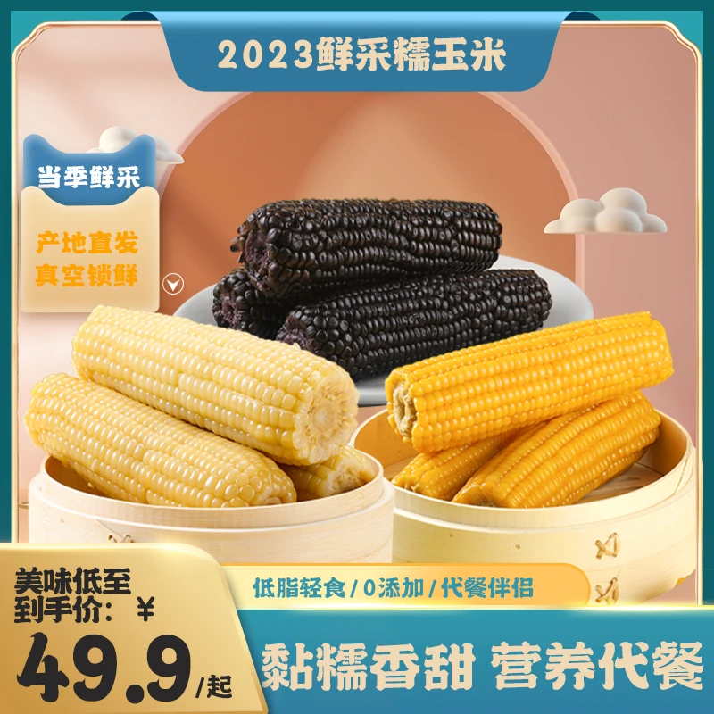 东北黏糯玉米棒【精品礼盒】黑/黄/白糯玉米组合 代餐甜糯粘玉米棒