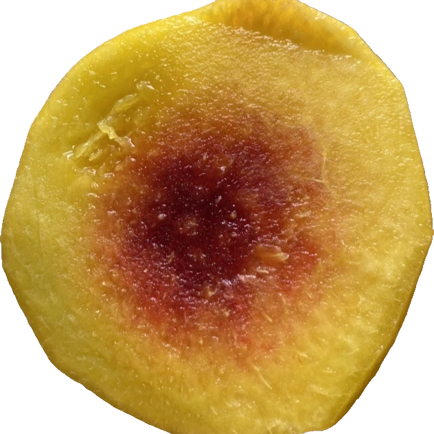 湖北三湖秋黄桃（现摘现发）大果4.5斤礼盒10-12个硬脆甜香