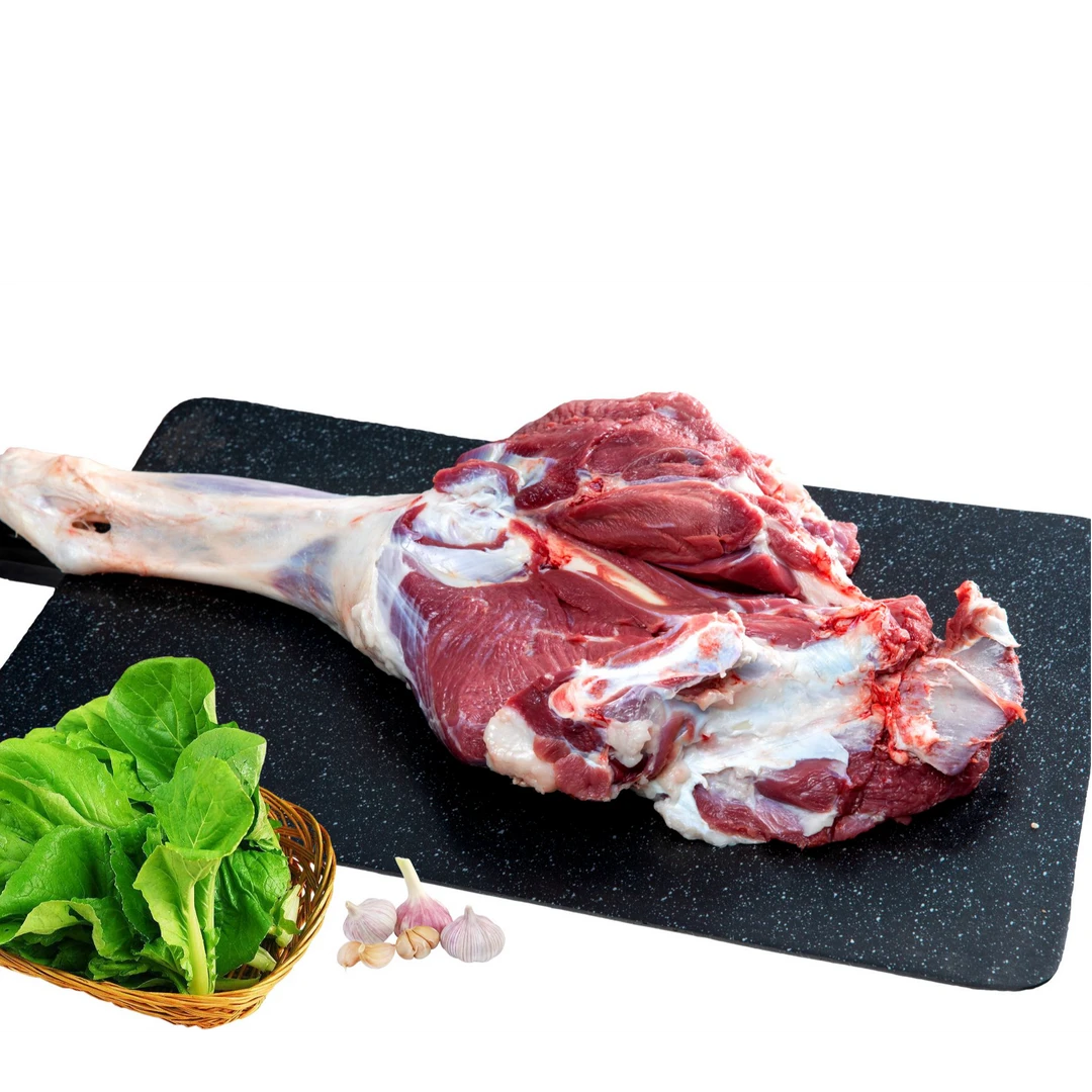 精选黄河湾滩羊-前腿肉