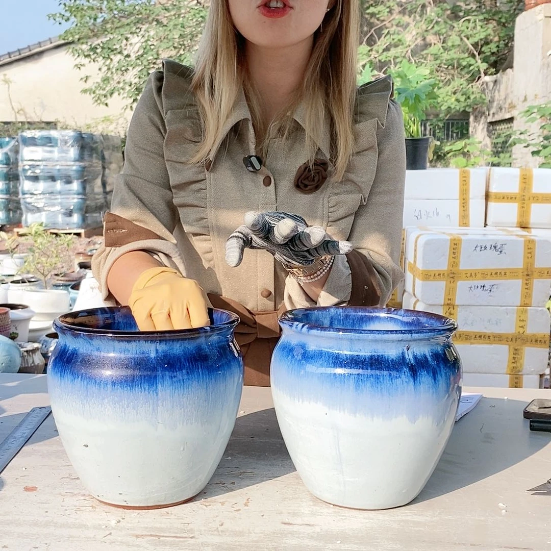 红陶20CM以下021蓝口