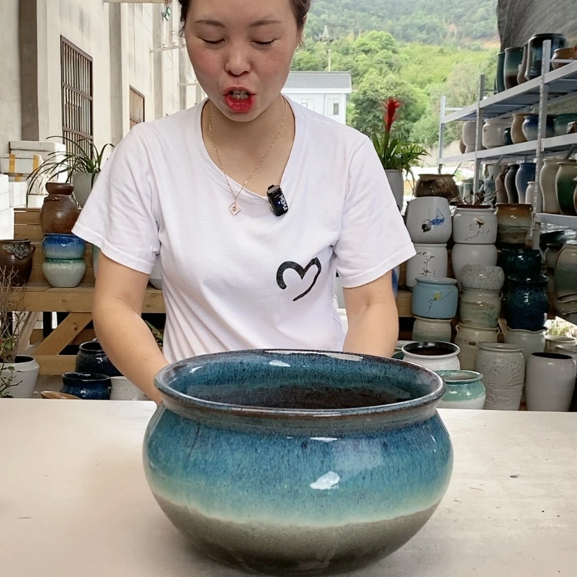 【闪购商品】王嫂花盆0726-31