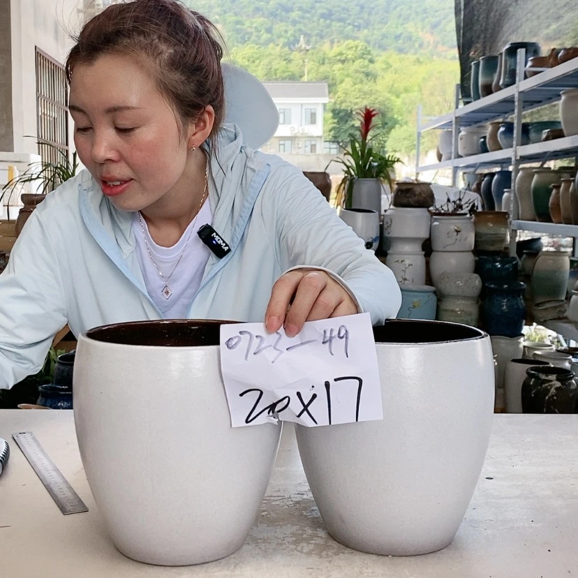【闪购商品】王嫂花盆0723-49韩