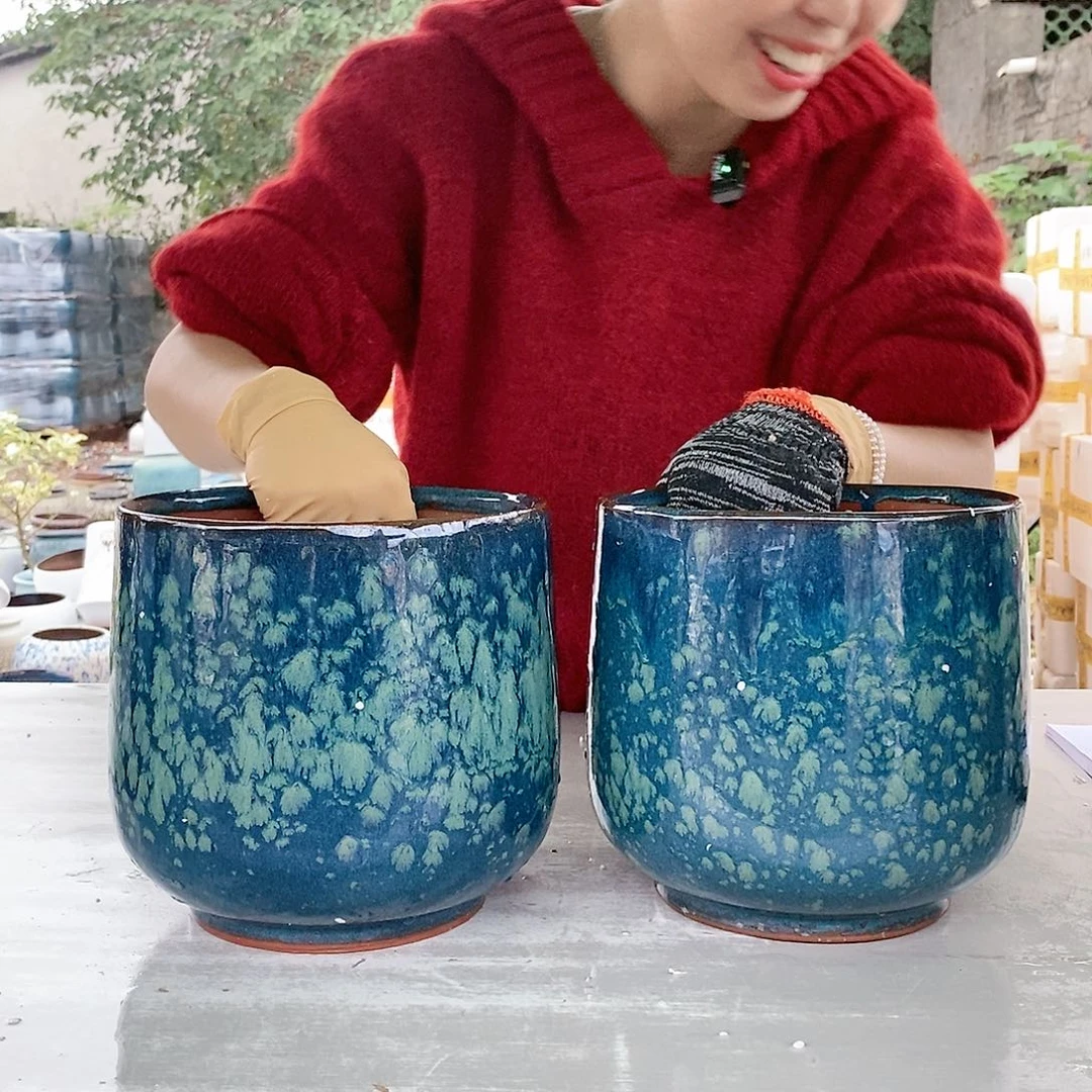 红陶20CM以下b238