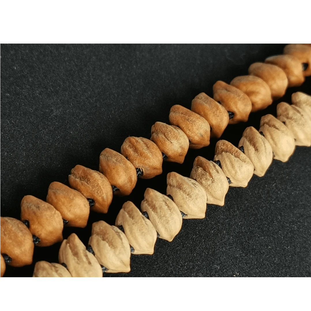 热振瓜子 热振双排横打#百香籽#蛇骨瓜子 尺寸6～7+，非常个性