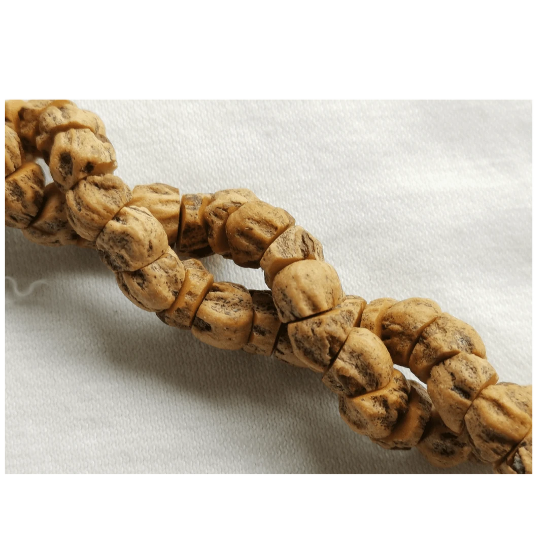 【脏鬼大肠】热振红油皮百香籽大肠，尺寸6-8，高油高密，红的嗷嗷快