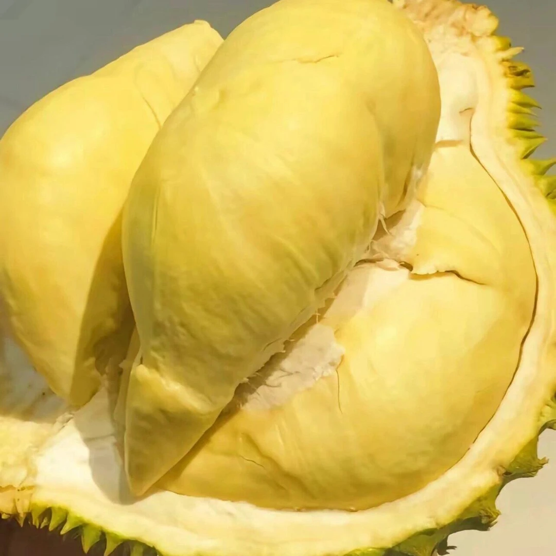 【泰国树熟】树熟金枕榴莲皮薄肉厚 保40%出肉率~