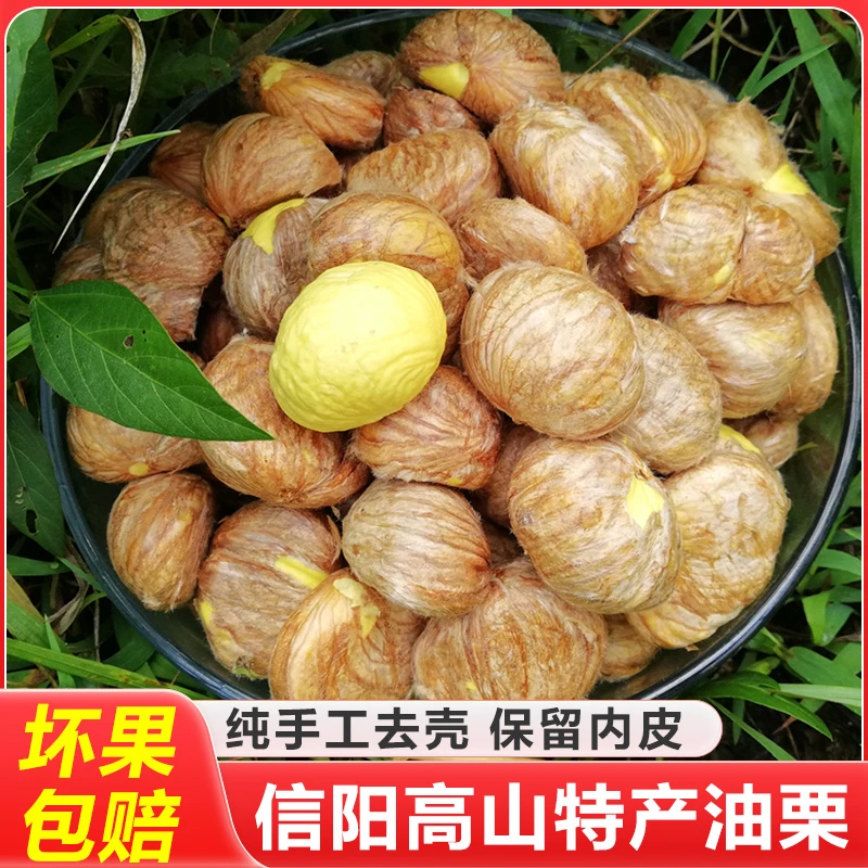 信阳高山新鲜生油栗5斤实惠装精选老树去外壳当季油板栗现剥现发