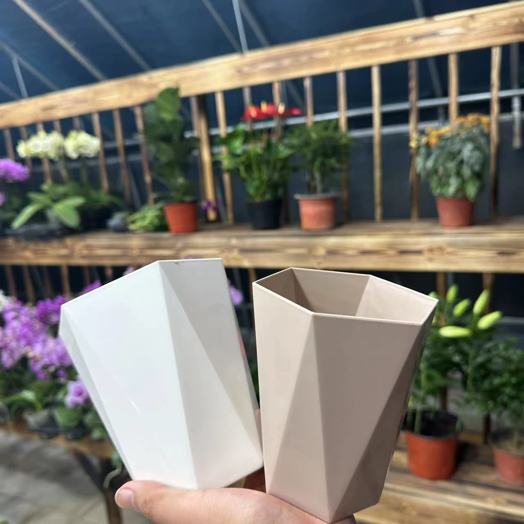 【李先生】蝴蝶兰专用养殖花盆