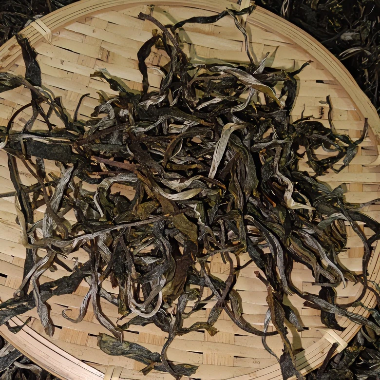 2024年磨烈春茶中小树100克