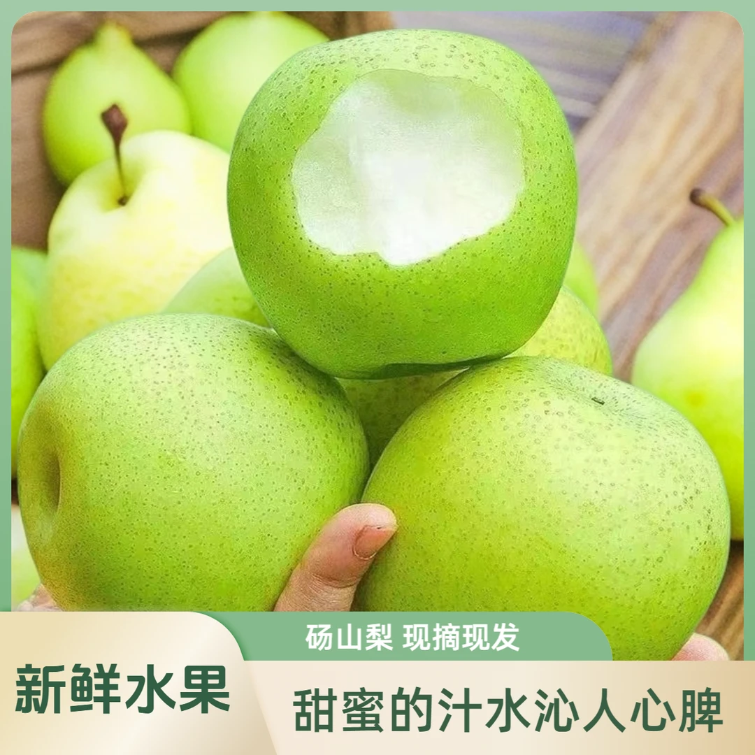 砀山酥梨新鲜水果薄皮汁水贡梨汁水应季现摘整箱汤山大果精选酥脆
