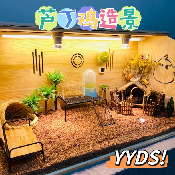 芦丁鸡造景桌子绿植草窝喂食器温度计围栏茅草屋