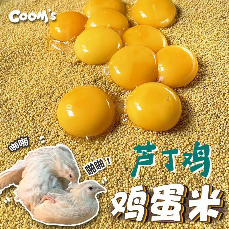 高品质鹦鹉黑尖蛋小米鸡蛋米芦丁鸡吃繁殖饲料鸟食黄小米促进踩背