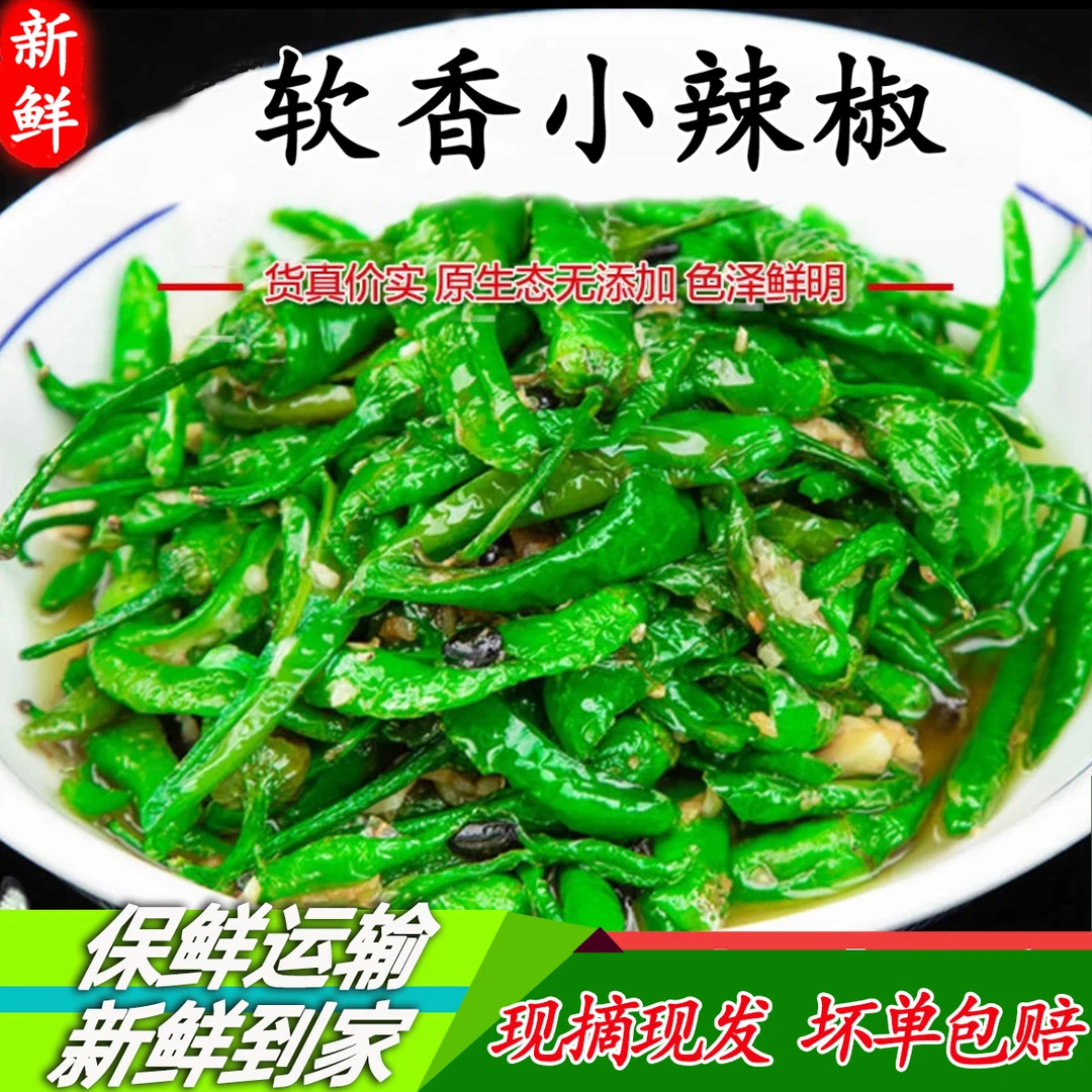 【特辣】樟树小辣椒薄皮软香嫩辣椒湖南老品种现摘现发新鲜清香辣椒