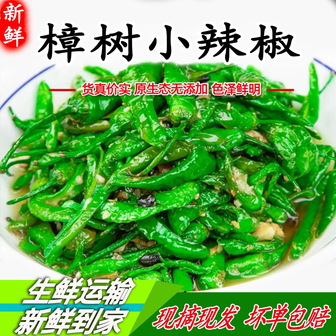 【中辣】樟树小辣椒软香薄皮嫩辣椒湖南老品种辣椒现摘现发露天种植