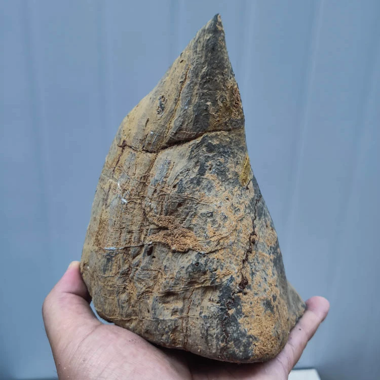 灵璧石天然奇石风化原石直播灵璧石灵璧石直播