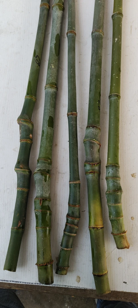 实心玉竹文玩把件