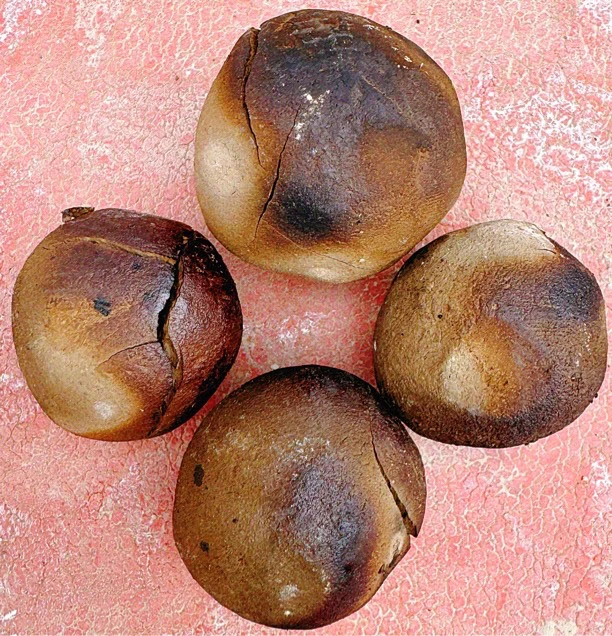 土克里包白土颗粒 小汤圆营养土非可食用